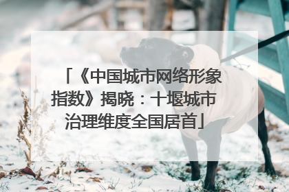 《中国城市网络形象指数》揭晓：十堰城市治理维度全国居首