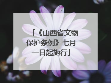 《山西省文物保护条例》七月一日起施行