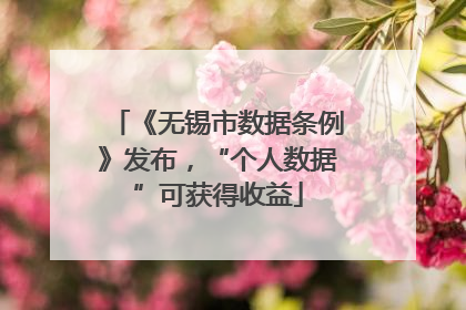 《无锡市数据条例》发布，“个人数据”可获得收益
