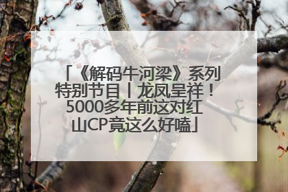 《解码牛河梁》系列特别节目丨龙凤呈祥！5000多年前这对红山CP竟这么好嗑