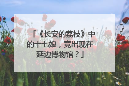 《长安的荔枝》中的十七娘，竟出现在延边博物馆？