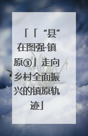 「“县”在图强·镇原③」走向乡村全面振兴的镇原轨迹