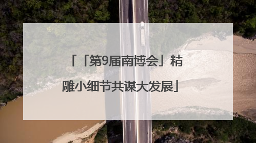 「第9届南博会」精雕小细节共谋大发展
