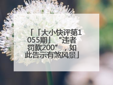 「大小快评第1055期」“违者罚款200”，如此告示有煞风景