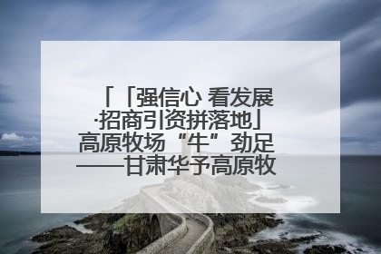 「强信心 看发展·招商引资拼落地」高原牧场“牛”劲足——甘肃华予高原牧场高标准奶牛肉牛养殖项目一线见闻