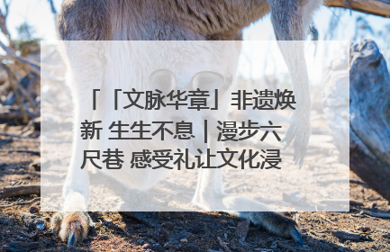 「文脉华章」非遗焕新 生生不息｜漫步六尺巷 感受礼让文化浸润的“巷”往生活