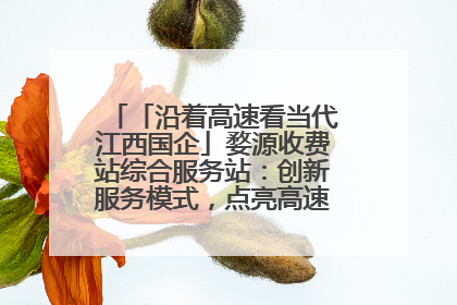 「沿着高速看当代江西国企」婺源收费站综合服务站：创新服务模式，点亮高速出行新体验