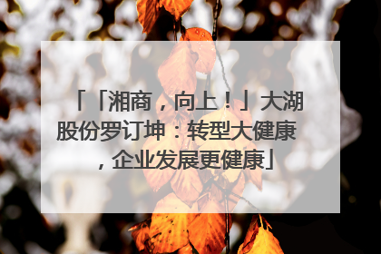 「湘商，向上！」大湖股份罗订坤：转型大健康，企业发展更健康