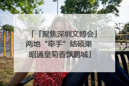 「聚焦深圳文博会」两地“牵手”结硕果 昭通皇菊香飘鹏城