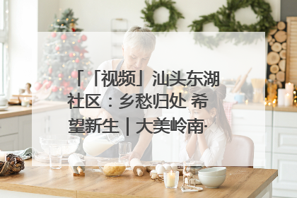 「视频」汕头东湖社区：乡愁归处 希望新生｜大美岭南·百村焕新记