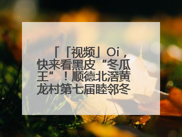「视频」Oi，快来看黑皮“冬瓜王”！顺德北滘黄龙村第七届睦邻冬瓜文化节开幕