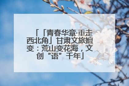 「青春华章·重走西北角」甘肃文旅嬗变：荒山变花海，文创“语”千年