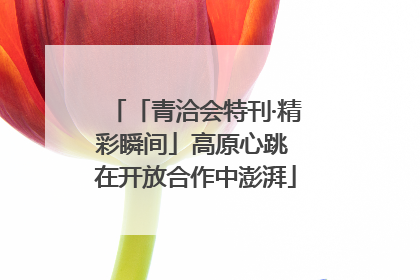 「青洽会特刊·精彩瞬间」高原心跳 在开放合作中澎湃