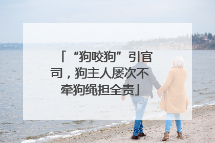 “狗咬狗”引官司，狗主人屡次不牵狗绳担全责
