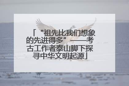 “祖先比我们想象的先进得多”——考古工作者泰山脚下探寻中华文明起源