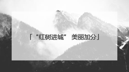 “红树进城” 美丽加分
