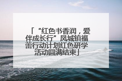 “红色书香润，爱伴成长行”凤城镇福蕾行动计划红色研学活动圆满结束