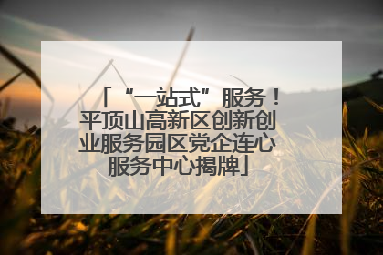 “一站式”服务！平顶山高新区创新创业服务园区党企连心服务中心揭牌