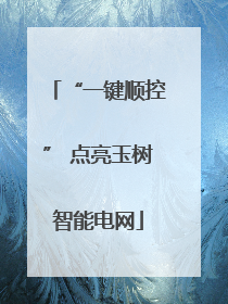 “一键顺控” 点亮玉树智能电网