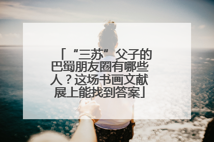 “三苏”父子的巴蜀朋友圈有哪些人？这场书画文献展上能找到答案
