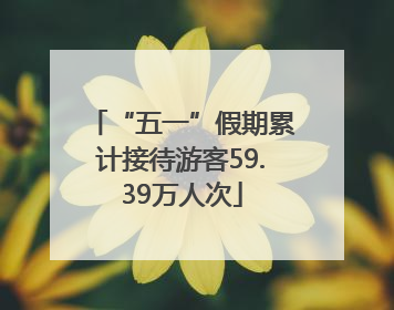 “五一”假期累计接待游客59.39万人次
