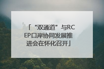 “双通道”与RCEP口岸协同发展推进会在怀化召开