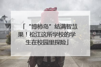 “博柿岛”结满智慧果！松江这所学校的学生在校园里探险