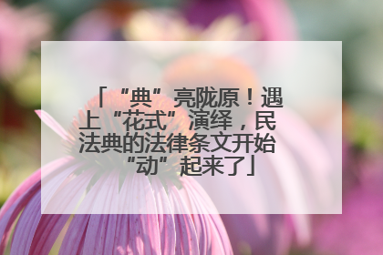“典”亮陇原！遇上“花式”演绎，民法典的法律条文开始“动”起来了
