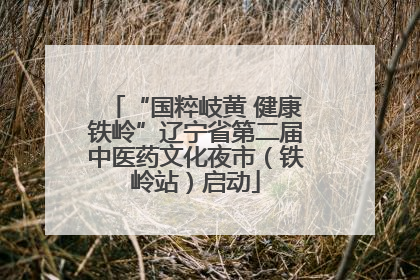 “国粹岐黄 健康铁岭”辽宁省第二届中医药文化夜市（铁岭站）启动