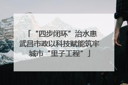 “四步闭环”治水患 武昌市政以科技赋能筑牢城市“里子工程”