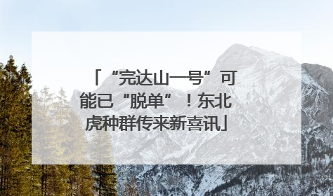 “完达山一号”可能已“脱单”！东北虎种群传来新喜讯