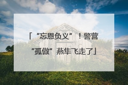 “忘恩负义”！警营“孤傲”燕隼飞走了