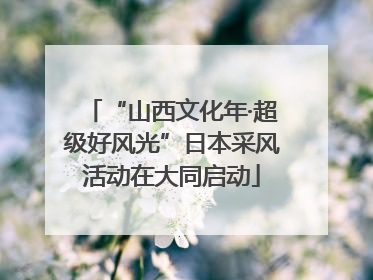 “山西文化年·超级好风光”日本采风活动在大同启动