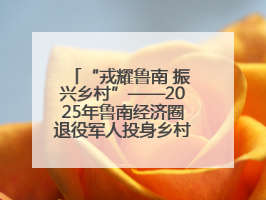 “戎耀鲁南 振兴乡村”——2025年鲁南经济圈退役军人投身乡村振兴成果展销会盛大启幕