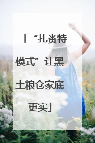 “扎赉特模式”让黑土粮仓家底更实