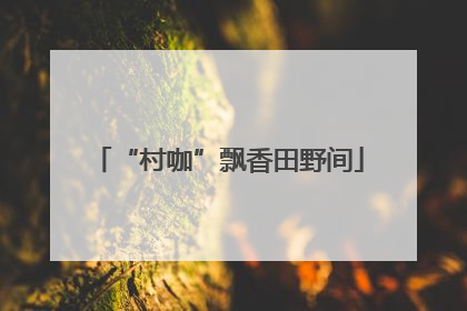 “村咖”飘香田野间