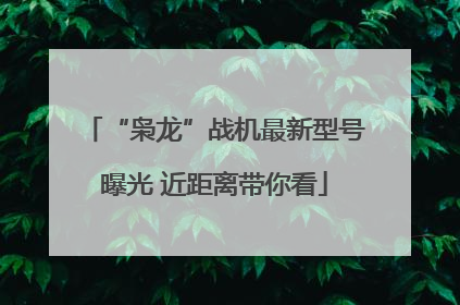“枭龙”战机最新型号曝光 近距离带你看