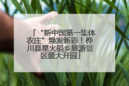 “新中国第一集体农庄”焕发新彩！桦川县星火稻乡旅游景区盛大开园