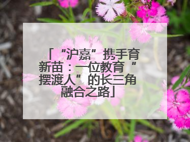 “沪嘉”携手育新苗：一位教育“摆渡人”的长三角融合之路