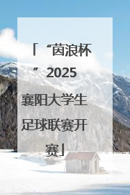 “茵浪杯”2025襄阳大学生足球联赛开赛