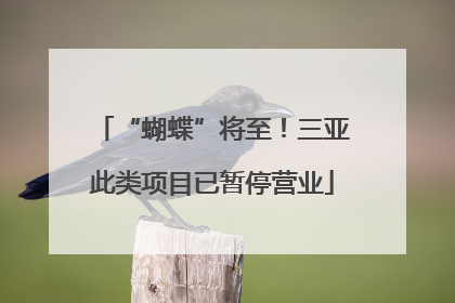 “蝴蝶”将至！三亚此类项目已暂停营业