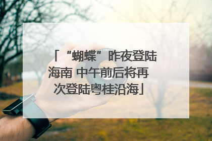 “蝴蝶”昨夜登陆海南 中午前后将再次登陆粤桂沿海