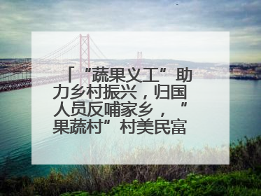 “蔬果义工”助力乡村振兴，归国人员反哺家乡，“果蔬村”村美民富香飘远近