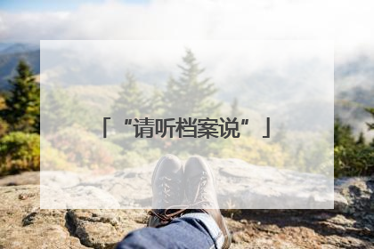 “请听档案说”