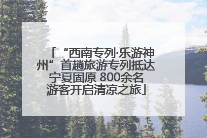 “西南专列·乐游神州”首趟旅游专列抵达宁夏固原 800余名游客开启清凉之旅
