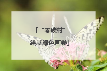 “零碳村” 绘就绿色画卷