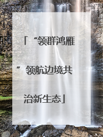 “领群鸿雁”领航边境共治新生态