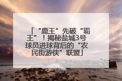 “鹿王”先破“霸王”！揭秘盐城3号球员进球背后的“农民街游侠”联盟