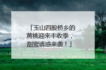 玉山四股桥乡的黄桃迎来丰收季，甜蜜诱惑来袭！