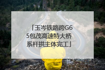 玉岑铁路跨G65包茂高速特大桥系杆拱主体完工